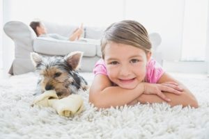  Scottsdale Carpet Cleaning Specials